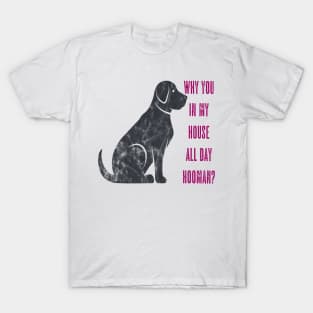 Hey Hooman T-Shirt